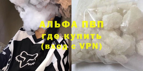 прущие грибы Абдулино