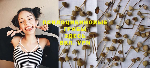 прущие грибы Абдулино
