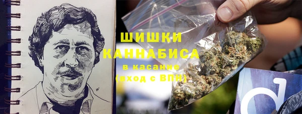 apvp Алексин