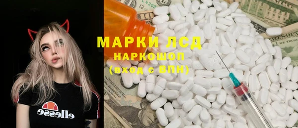 apvp Алексин