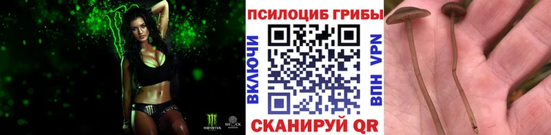 даркнет сайт  Чухлома  Галлюциногенные грибы прущие грибы 