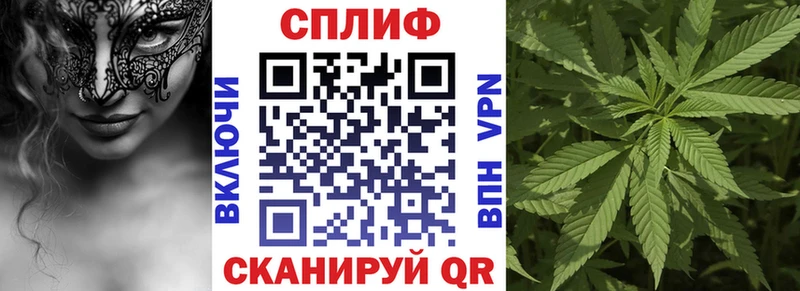 МАРИХУАНА планчик  Чухлома 